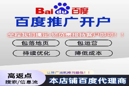 优化SEM竞价策略：成功案例剖析